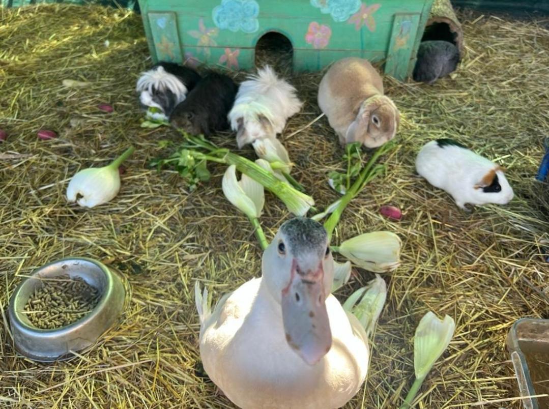 Sejour A La Ferme Villa Jouques ภายนอก รูปภาพ