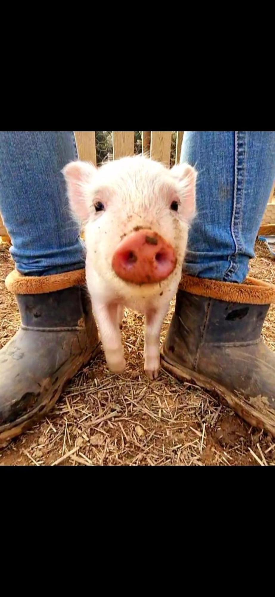 Sejour A La Ferme Villa Jouques ภายนอก รูปภาพ